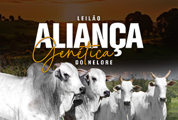 LEILÃO ALIANÇA GENÉTICA DO NELORE